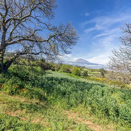 Apartamento La Costa *